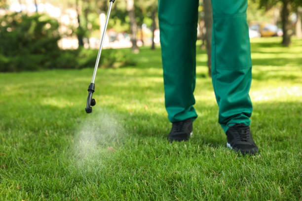Best Wasp Removal Services  in Watervliet, NY