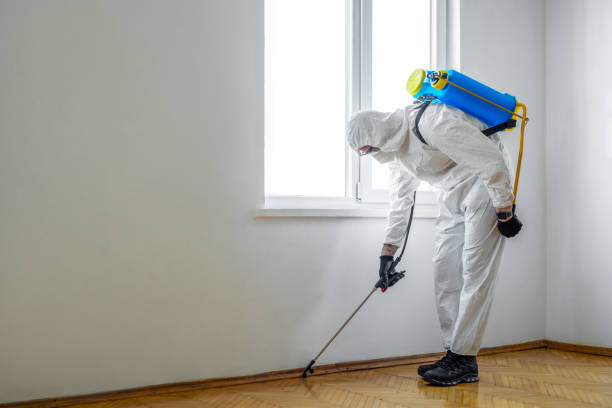 Best Cockroach Control Services  in Watervliet, NY