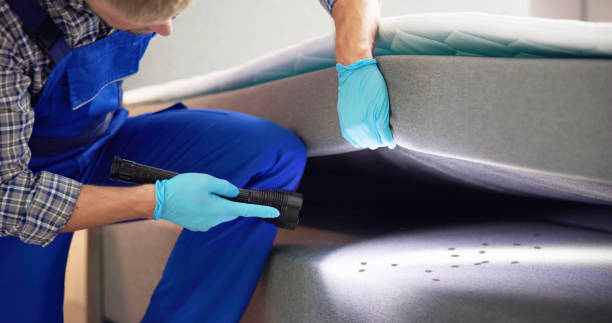 Best Termite Control Services  in Watervliet, NY