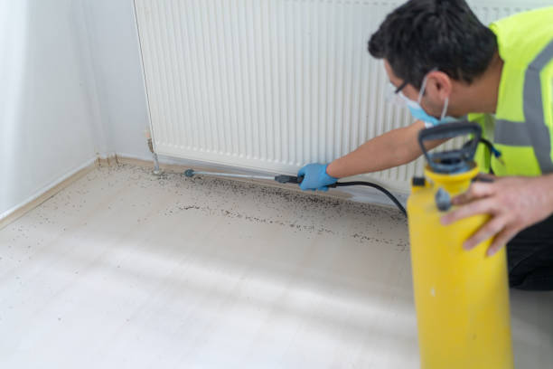 Best Pest Control Near Me  in Watervliet, NY